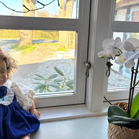 Troldehuset فيلة