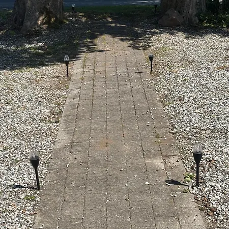 فيلة Troldehuset بوجنسي